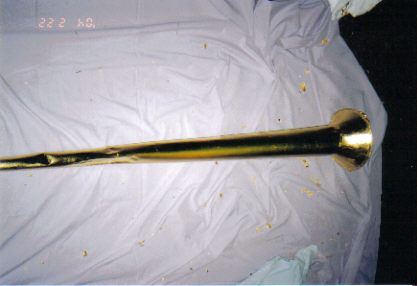 After gilded copper horn